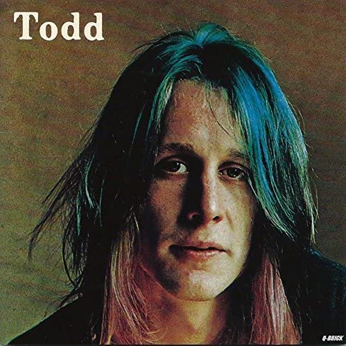 

CD TODD RUNDGREN - Todd VICP2012 Bearsville 1990 Japan Rock Used