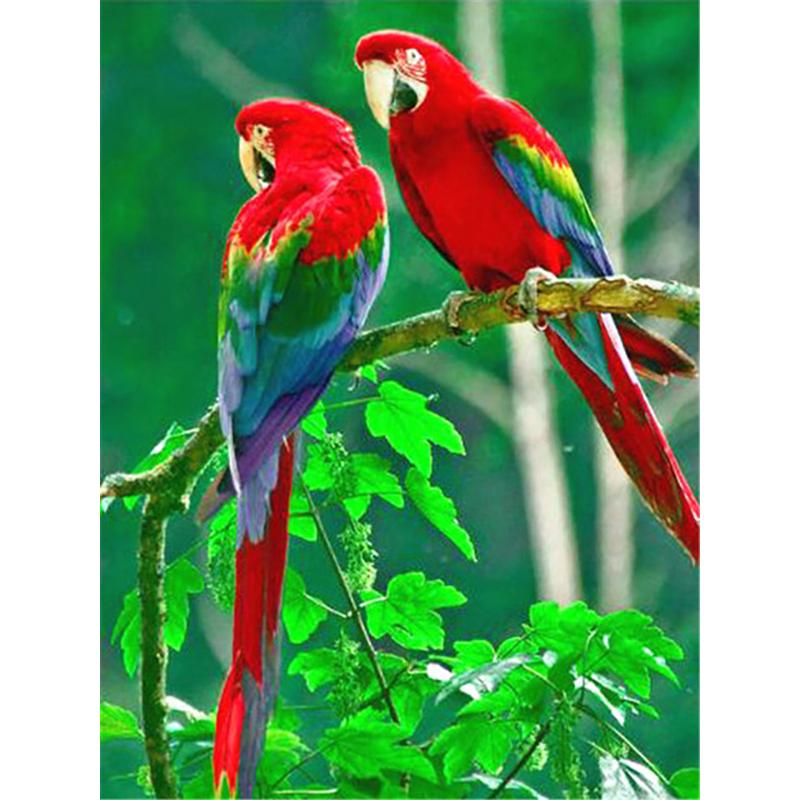 Full Square Diamond Painting Parrot Animals Bird Mosaic Diamond Embroidery Scenery Cross Stitch Home Decoration New Year Gift