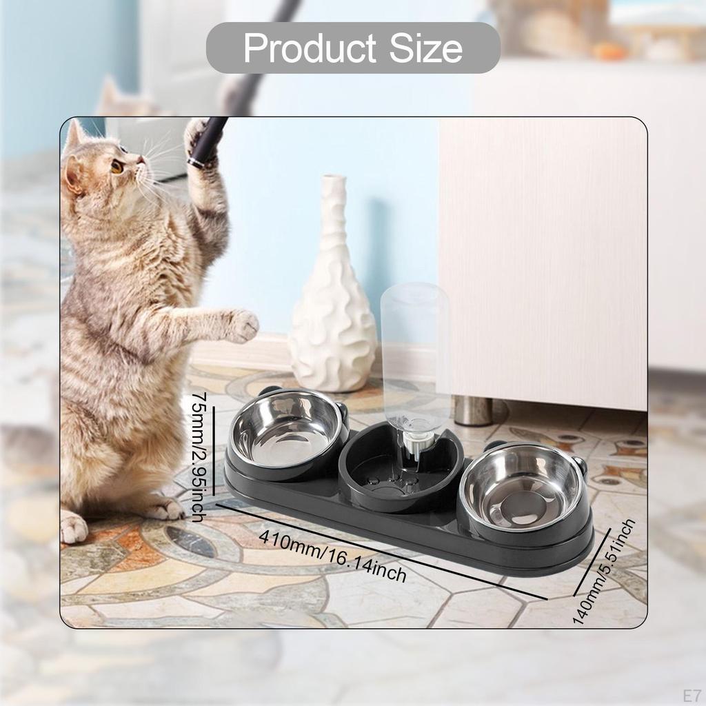 Bowl, Pet Food And Water Tilted At 15°, 3 In 1, for Wet Dry Food, Feeder Hamster, ,