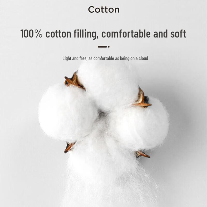 Jiuzhoulou Thickened Cotton Winter Quilt