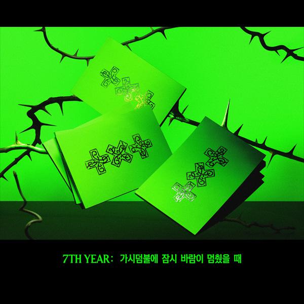 [Pre-order] TOMORROW X TOGETHER - 7th Year: When the Wind Paused Among the Thorns (THORN Ver.)