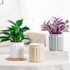 Self Watering Planter Plastic Plant Pot with Inner Pot Modern Decorative Flower Pot for All House Plants Flowers Herbs African Violets