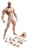 112 Scale Male Action Figure, 6-inch, Super Flexible and Strong Muscle Figure, Miniature Figure, Body Doll with Interchangeable Hands and Accessory