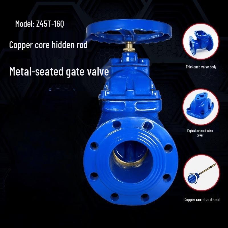 Yunduo DN250 Heavy-Duty Hard Seal Gate Valve