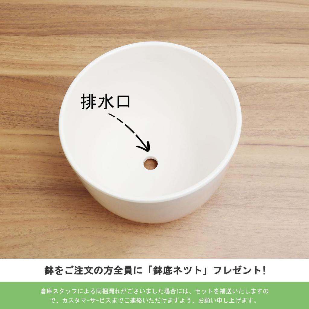 YOUXUANLIPIN Inch Round Ceramic Planter with Drainage for Indoor Light Nordic for Houseplants 5.5 Saucer, Hole, White, Plants, White, Surface,