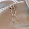 Tide Metal Fringed Earrings, High-end Temperament, Long Stud Earrings, Women's Exaggerated Earrings.