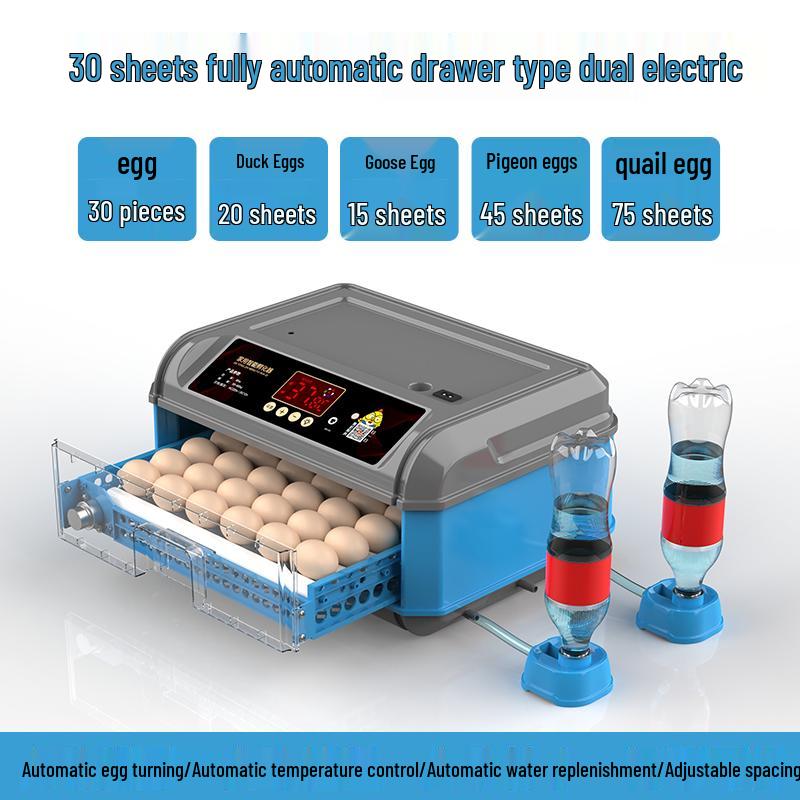 Luding Smart Automatic Egg Incubator for Small Eggs - Compact Household Model