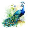 Peacock Watercolor Wall Sticker Bathroom Living Room Background Decorations Wallpaper Animals Self Adhesive Stickers M954