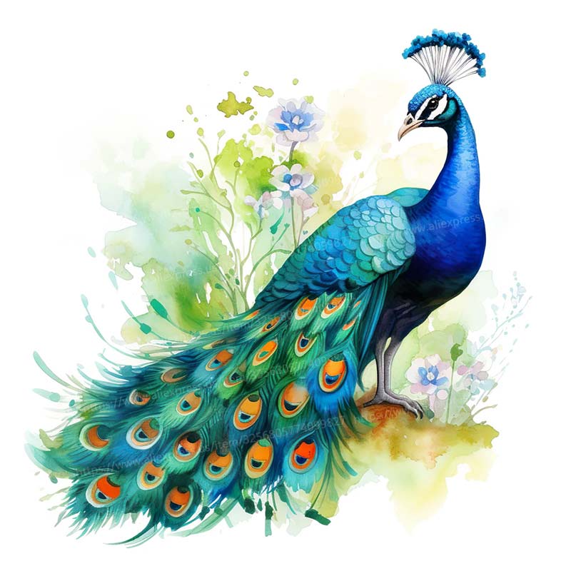 Peacock Watercolor Wall Sticker Bathroom Living Room Background Decorations Wallpaper Animals Self Adhesive Stickers M954