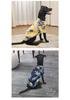 Hawaiian Style Summer Pet Shirt for Small To Medium Cats & Dogs: Pomeranian, Bichon, Teddy, Garfield, British Shorthair