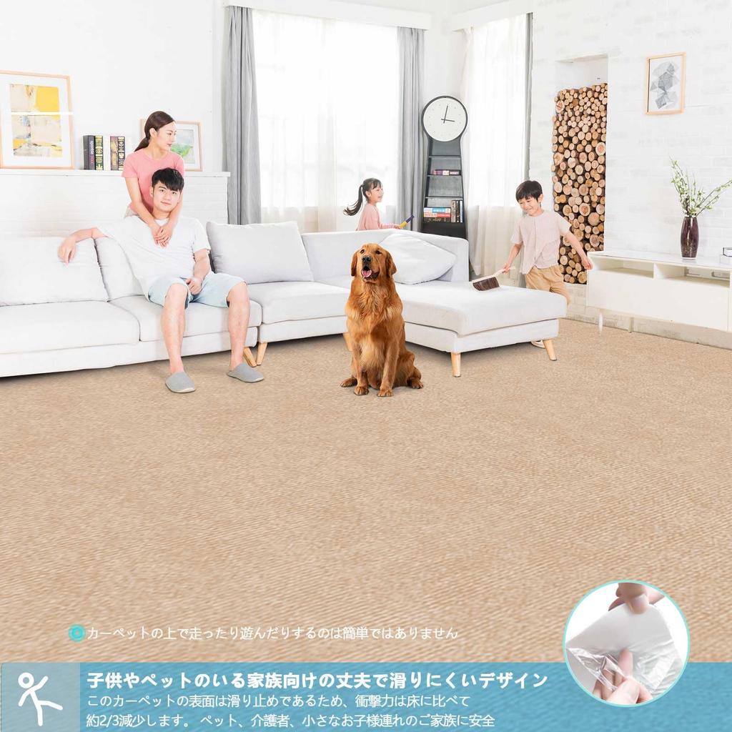 [Amazon Exclusive Brand] HAODEMI Hallway Rug, Carpet Rug, Kitchen Rug, Long, 300x60cm, Pet-Friendly, Flooring, Non-Slip, Reduces Leg and Back Pain, St