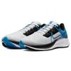 Nike Air Zoom Pegasus 38 'Pure Platinum Photo Blue' Sneakers CW7356-009