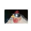 Cool Chicken Flag 3x5fts 2x3fts Funny Animal Wall Hanging, Durable Polyester, Perfect for Living Room, Dorm, Party Decor