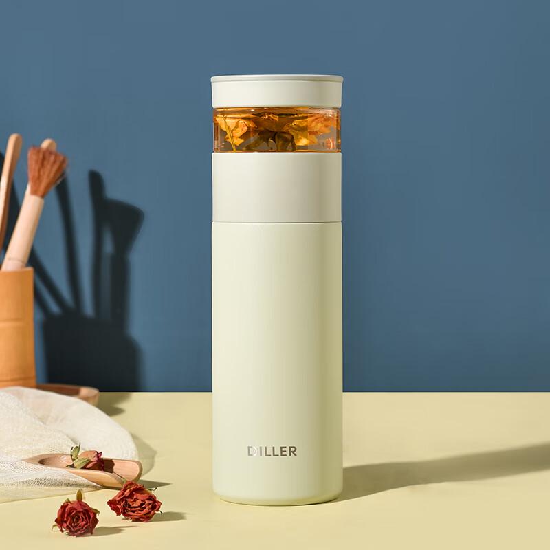 Dilebel Tea Infuser Thermos Bottle