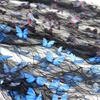 Three-Dimensional Butterfly Fixed Flower Spider Web Yarn Black Yarn Lace Embroidered Lace Children'S Clothing Hanfu Dress Fabric Decoration