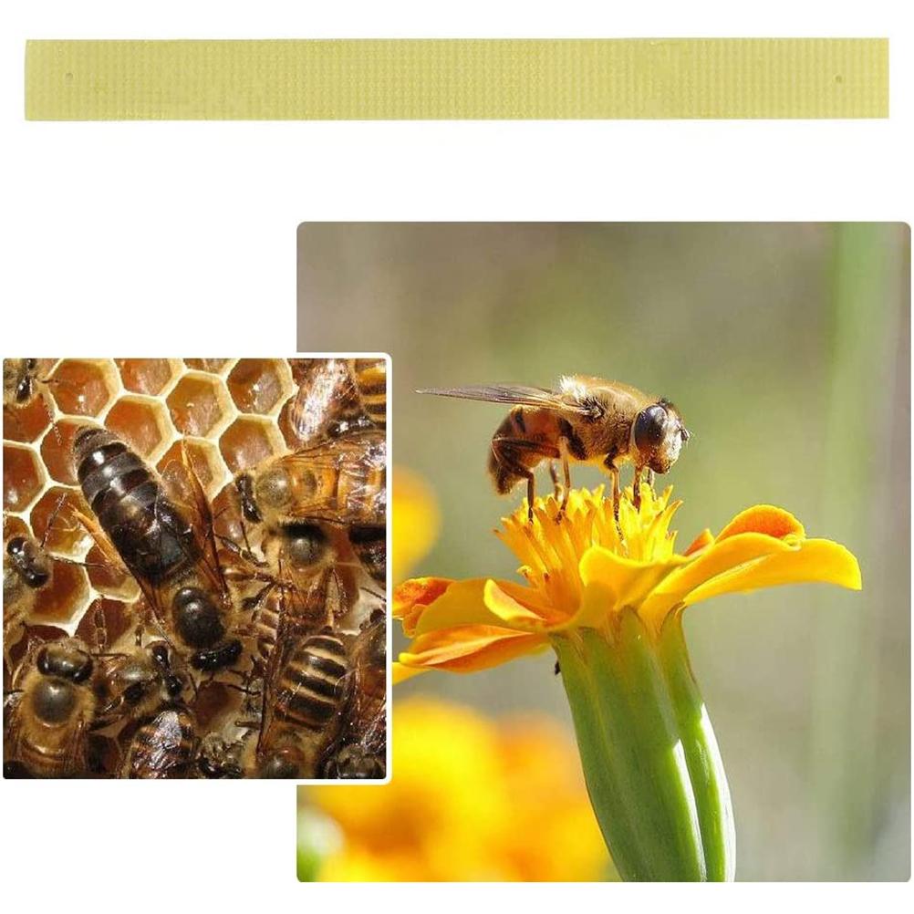 40 pièces de médicaments apicoles contre les acariens varroa et le fluvalinate de Manhao