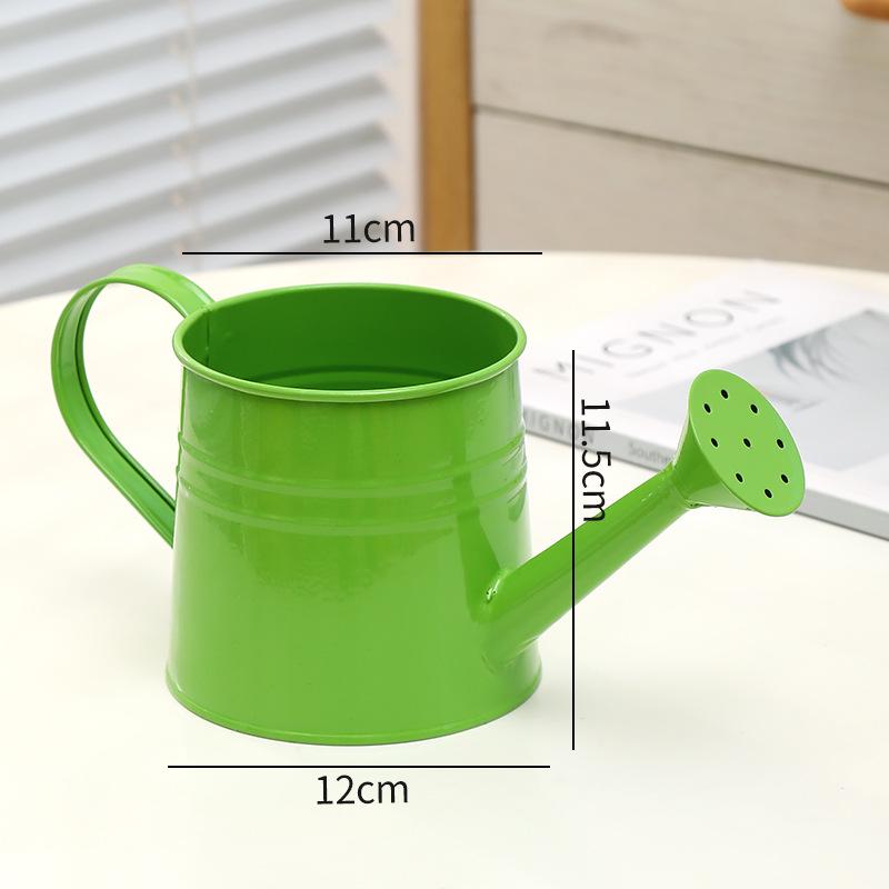 Retro Eisen Sukkulenten Gießkanne: Ausgehöhltes, Distressed-Design für Haushalt & Blumengebrauch