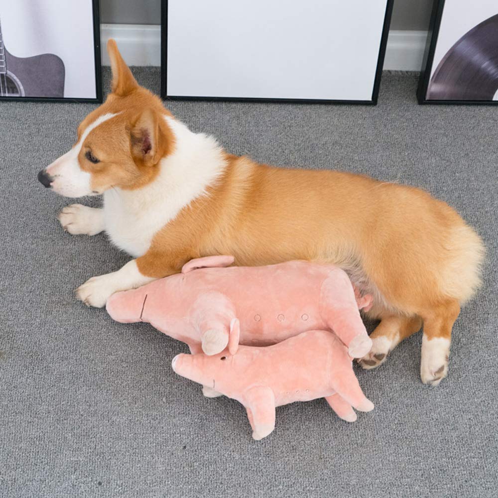 Yurika Dog Toy Plush Toy Cute Pig Dog Teeth Brushing Dogman Dog Birthday Gift Teddy Golden Retriever Pet Toy Durable (L)