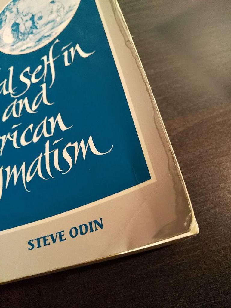 [USED] <Foreign Book> Zen and the Social Self in American Pragmatism / Steve Odin