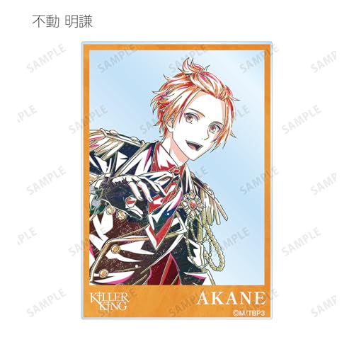 B PROJECT ~Hot Love Call~ Trading Ani Art 2nd Edition Acrylic Cards Box of 16