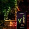 Twinkly Strings 400 Led Rgbw Black Wire/Plug F (Eu Type)