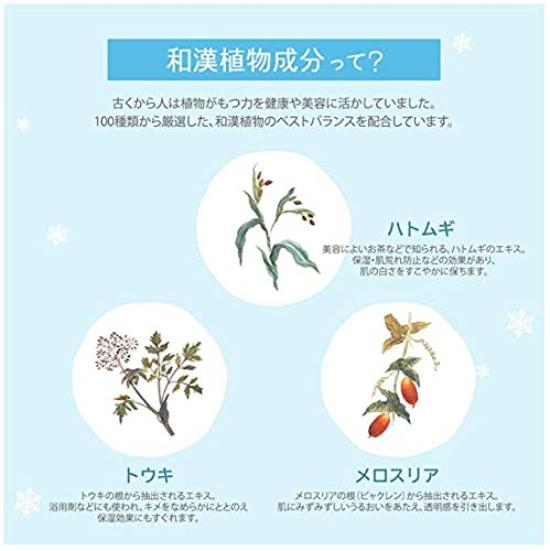 Limited Set Kose Sekkisei Mask Pieces 15ml10