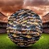 Detective Conan Print Size 5 Soccer Ball, Standard Match Football for Sports Game and Team Practice, Ideal Gift for Soccer Fans