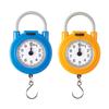 10kg Mechanical Vintage Portable Spring Balance Hook Scale For Hanging Pocket Luggages Scale Mini Weighing Scale