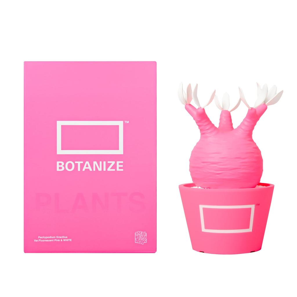 BOTANIZE X MEDICOM TOY Pachypodium Gracilis Figure Pink Pop Color American Goods Style Interior [Limited Sale] (Pink)