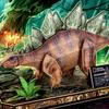 PUZZLE 3D NATIONAL GEOGRAPHIC STEGOZAUR 0541