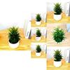 Fake Succulent Plant Pot With Pvc Material For Home Decor And Office Display