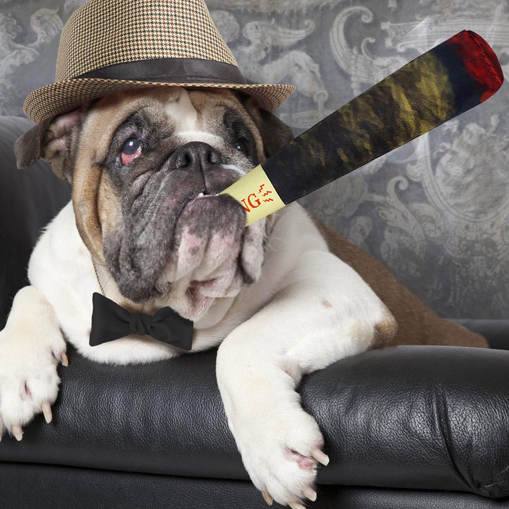 Funny Dog Toys - Plush Squeaky Toys For Medium, Small And Large - Cool Stuffed Cute Gifts For Dog Birthday,Catnip Toy Doobies,,Stuff