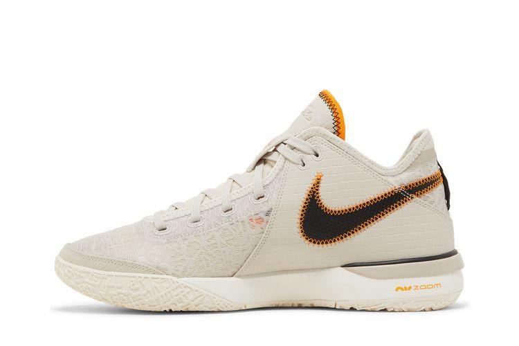 Nike Zoom LeBron NXXT Gen 'Da Vinci'