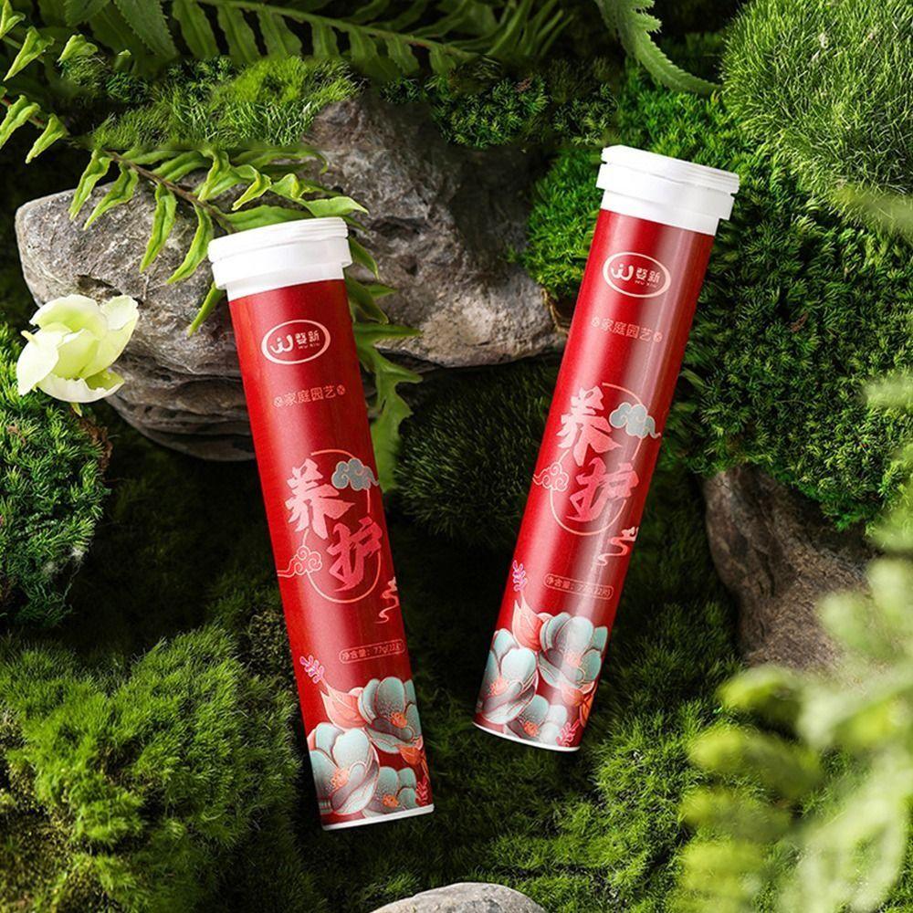 Sustained-release Phosphorus Organic Fertilizer Potassium Speed Up Plant Nutrition Tablets Growth Slow-Release Tablet Gardening XXS