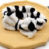 Autumn Winter Women Cow Headband Spa Makeup Adjustable Elastic Head Band Washing Face Spa Makeup Hair Band