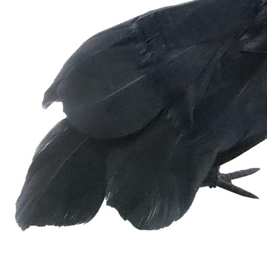Halloween Black Crow Decoration Realistic Feathered Crow Prop Artificial Fake Raven Birds for Yard Tree Garden Patio Indoor Outdoor