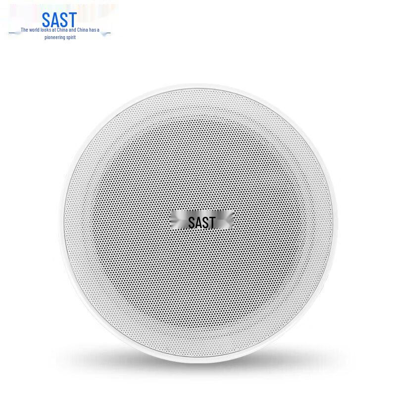 SAST 5-inch Ceiling Speaker for Public Broadcasting CN Plug (adapter Included)