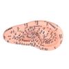 6.7in Ear Acupuncture Model Silicone Engraving Ear Massage Acupuncture Model for Home Laboratory