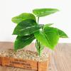 1Pc Simulation Plant Artificial Silk Leaves Turtle Leaf DIY Wall Accessories Home Garden Decoration