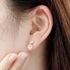 925 silver, gold-plated, diamond cubic silver needle earrings