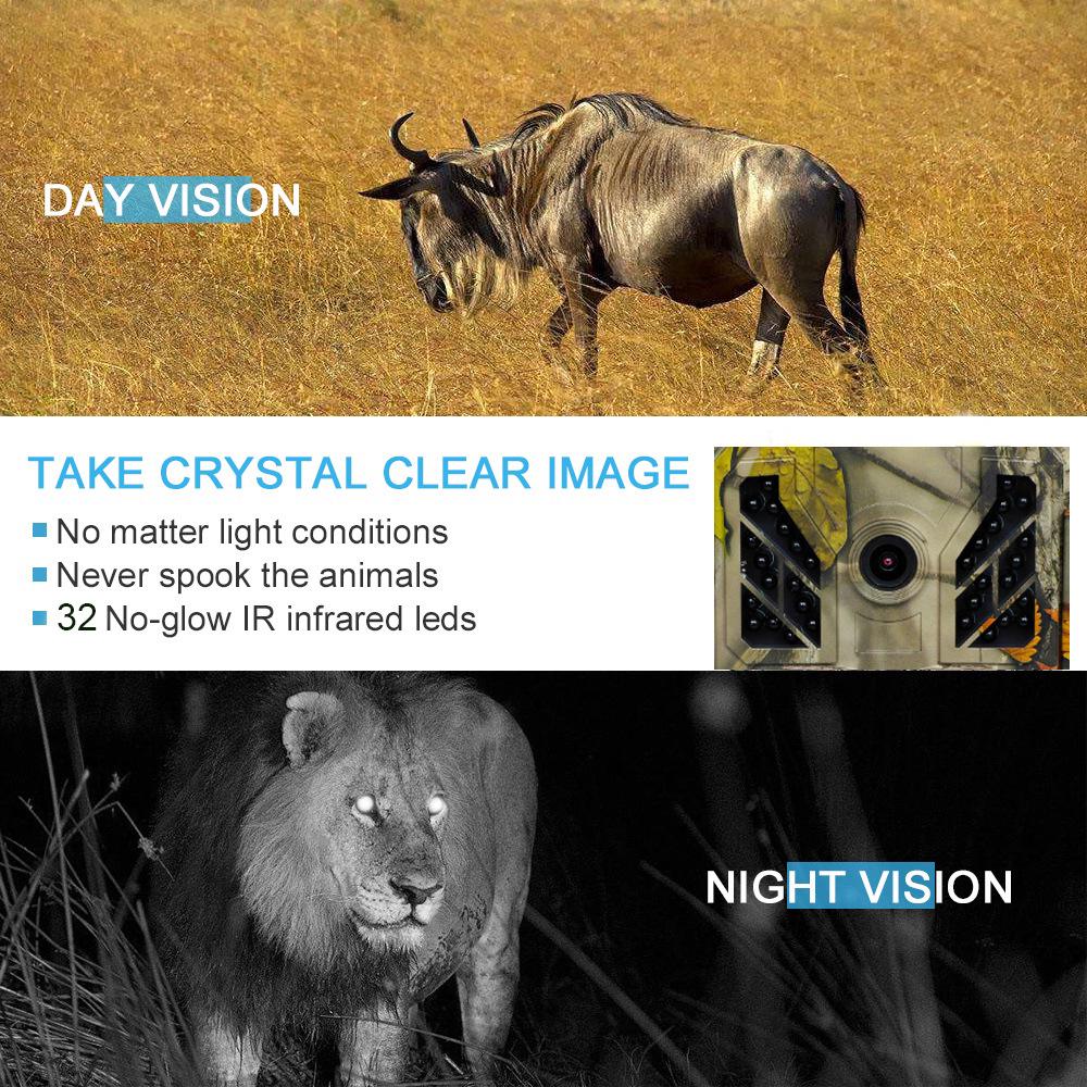 4G Infrarot Wildkamera - Wasserdicht, App-Verbindung, Echtzeit-Anzeige
