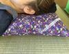 Large Hokkaido Buckwheat Sleep Pillow with Lavender Potpourri