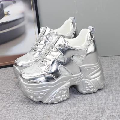 Platform Dad Shoes Women's 2025 New Casual Korean Version Muffin Heightening Shoes Lace-up High-quality Women's Shoes Winter New