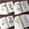 [USED] Botanical encyclopedia, foreign books, Czech botanical encyclopedia, botanical art