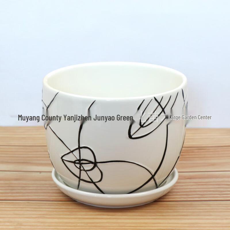 

Chinese Style Ceramic Pot for Plants and Succulents