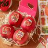 2026 Spring Festival & New Year Blessings Fruit Stickers - Chinese Lantern Festival Gift Tags & Seal Stickers
