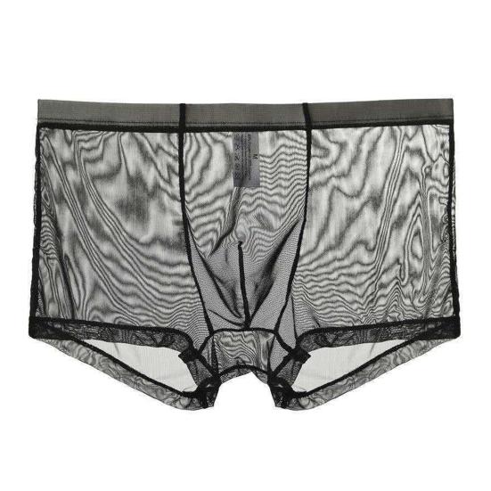 Men Boxers Breathable Elastic Mesh Low Waist Ice Silk Cooling Anti-septic See-through Men