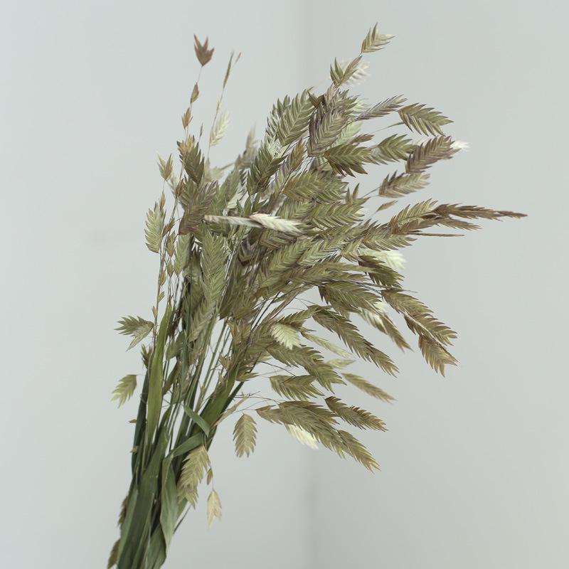 Yunnan Dried & Immortal Flowers Bouquet: Baby's Breath, Roses, Forget-Me-Nots for Home & Homestay Decor