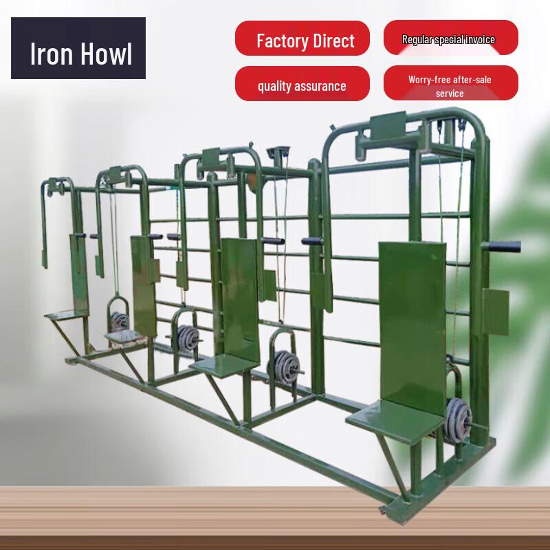 Outdoor Pectoral & Strength Combo Trainer