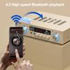 Hifi 150W+150W High Power Amplifier 4.2 Bluetooth Amplifier 2-Channel Auido Speaker Amp Decoding with USB/SD for Home Theater